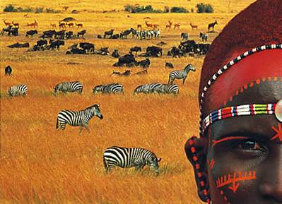 Resultado de imagem para Imagens da savana africana